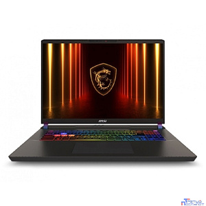 MSI Vector 17 HX A2XWJG [9S7-17S372-099] Gray 17" {QHD+ Ultra9 275HX/DDR5 32GB (16GB*2)/1TB SSD/RTX 5090 (24GB GDDR7)DOS}