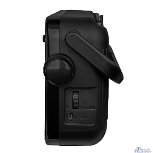 RITMIX RPR-303